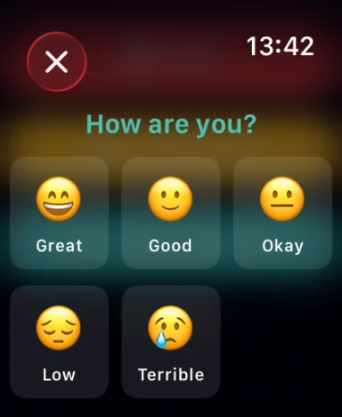 Apple Watch daily mood check-in.